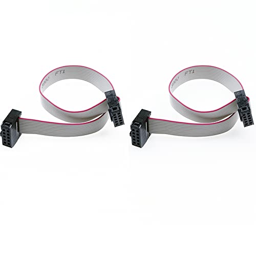 Treedix 2 Pezzi Cavo a Nastro Piatto IDC, Connettore JTAG, Passo 2,54/1,27 mm, 2 File, 10 Pin, Femmina-Femmina, Cavo SWD, Lunghezza 150 mm/5,9 pollici per Connessione JTAG/ISP