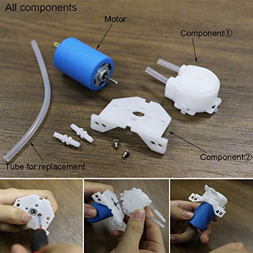 Tête de pompe péristaltique doseuse Treedix DC 12V-24V avec raccord de tuyau, compatible avec Arduino, aquarium, laboratoire et analyse